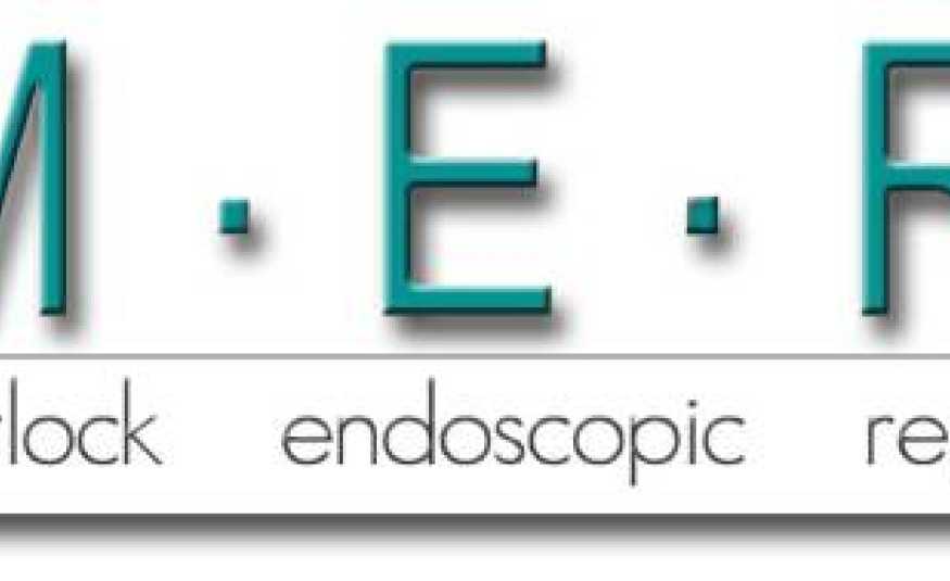 ISO 9001 Internal Audit for Matlock Endoscopic for Q1 2025