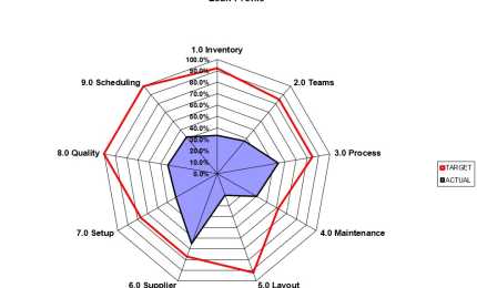 Lean Assessment