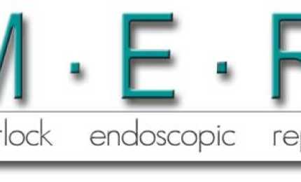 ISO 9001 Internal Audit for Matlock Endoscopic for Q1 2025