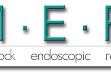 ISO 9001 Internal Audit for Matlock Endoscopic for Q1 2025